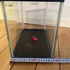 【美品】水槽　12L の画像