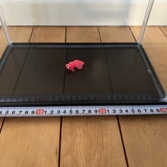 【美品】水槽　12L の画像