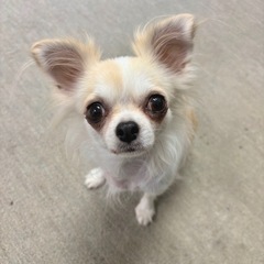 控えめだけど、本当は甘えたい女の子！