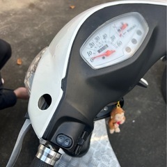 50ccアドレスの画像