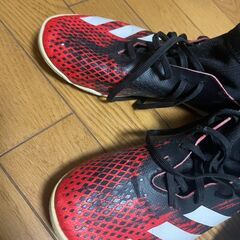 フットサル用室内シューズ　24センチの画像