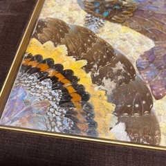蝶の羽アート作品　額縁入り　ヴィンテージ品の画像