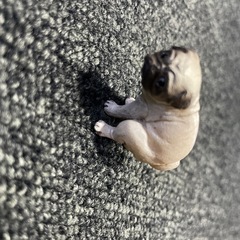 ふんばりーぬ2 パグ　フィギュアの画像