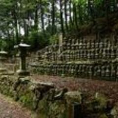 11/30(日) 六波羅探題北条一族滅亡の地へ〜米原、蓮華寺〜