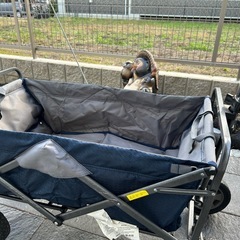 ワゴン、カートの画像