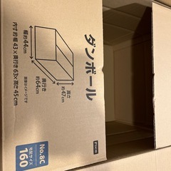 ダンボール 160サイズ 1枚  の画像
