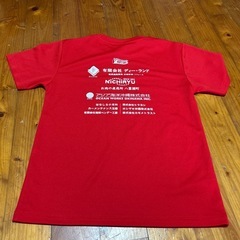 fc琉球 Tシャツ　2枚　の画像