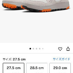 【新品タグ付！】【NIKE】 シティ C1TY プラチナムティント【27.0】《プレゼントにも◎》の画像