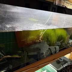 アクリル水槽1200×600×450の画像