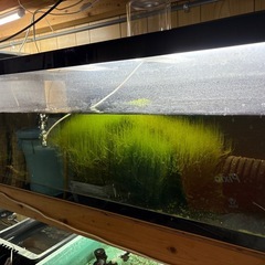 アクリル水槽1200×600×450の画像