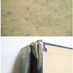 【美品】額装　歌舞伎『連獅子』　高さ63.5x幅85.5x奥行5㎝　工芸品　華やか　美術品　日本画　和風　名画　インテリア　おしゃれ　356ZSの画像