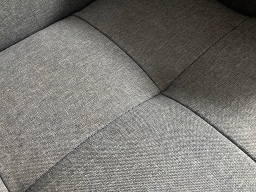 タンスのゲン 2Pソファ