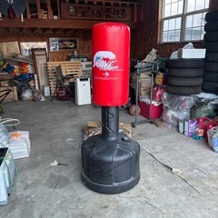 パンチとかキックするやつの画像