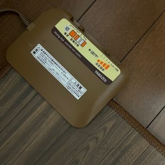 山善　フローリング調ホットカーペットの画像