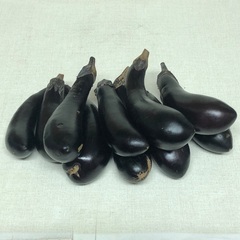 本日限定　茄子　ナス　なすび　小10本の画像