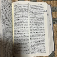 小学館 和英中辞典の画像