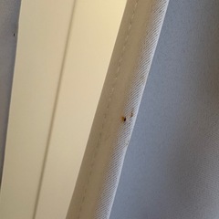 1級遮光カーテンの画像