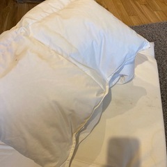 西川羽毛布団　ベビー布団セットの画像