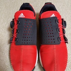 ゴルフシューズの画像