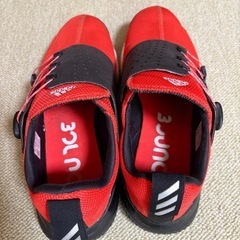 ゴルフシューズの画像