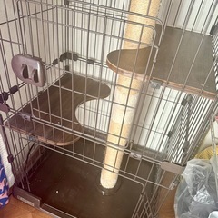 キャットタワー付ケージ 3段タイプ アイリスオーヤマ　 PCLC-703の画像