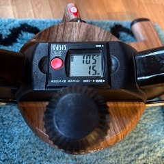 ステッパー｜おあしすオアシス　 の画像