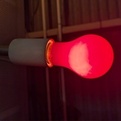 電球どれでも1つ10円❗️テストオッケーですの画像