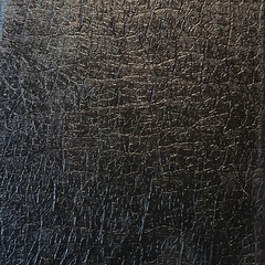 ナルダン大正琴未使用ひ品の画像