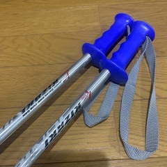 KIZAKI 85cm スキーストック　シルバーの画像