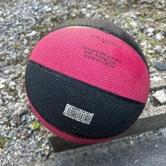 ジュニア バスケットボール 練習にの画像