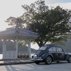 空冷ビートル　タイプワン　type1 ビートル　フォルクスワーゲン　VWの画像