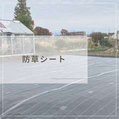 防草シート施工