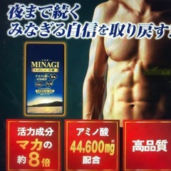 みなぎる元気！ すっぽん&牡蠣 サプリ　MINAGI　マカの約8倍　定価4000円以上　一月分 62粒 一袋の画像