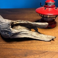 9.先が筆風〜〜上品な　流木、天然物、インテリア、オブジェの画像