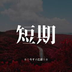 ≪12月末までの短期/要中型免許≫時給1,800円！郵便物輸送ドライバー💨交通費別途支給✨A12K003-5(1)の画像