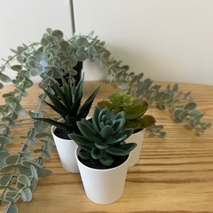 IKEA FEJKA フェイカ SETの画像