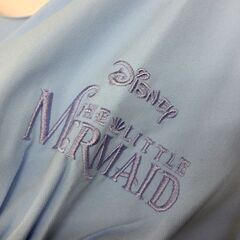 未使用 ディズニー コスプレ リトルマーメイド アリエル フリーサイズ ☆ 札幌市 北区 屯田 の画像