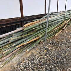 もらってくださいの画像