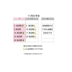 社会人バドミントンサークル - スポーツ