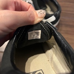 　　決まりました。VANSスニーカー23.5の画像