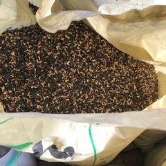 自家製　もみ殻くん炭　籾殻燻炭　畑・家庭菜園等にの画像