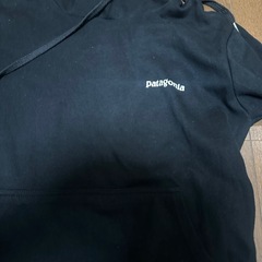Patagonia パーカーの画像