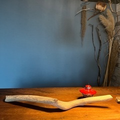 9、しっかり者の美白　流木、天然物、インテリア、オブジェの画像