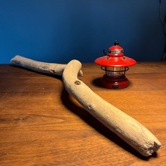 9、しっかり者の美白　流木、天然物、インテリア、オブジェの画像