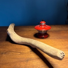 9、しっかり者の美白　流木、天然物、インテリア、オブジェの画像