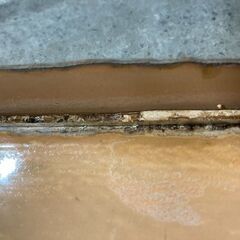 水槽  ガラス製 60cm 昭和レトロ 金属フレーム ★S3431Aの画像