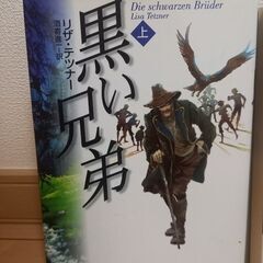 ⚠️値下げ⚠️値引き対応🉑⚠️黒い兄弟 上・下セット(リザ・テツナー)の画像