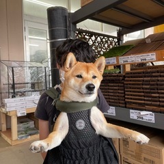 Doglent メッシュペットキャリア Lサイズの画像