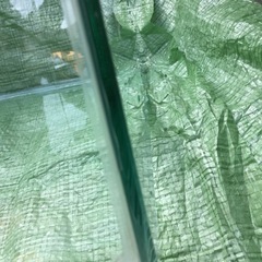 ガラス水槽の画像