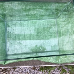 ガラス水槽の画像